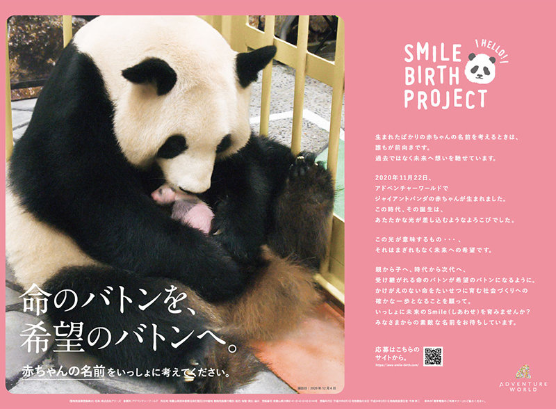 パンダの赤ちゃんのオリジナル壁紙を無料配布中 2月23日まで アドベンニャーワールド